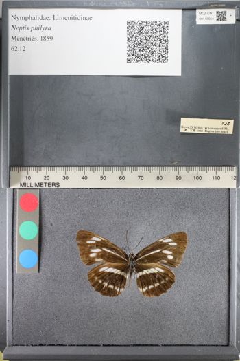 Media type: image;   Entomology 145664